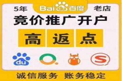 百度竞价排名服务：成功案例解析与优化策略